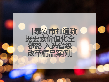 泰安市打通数据要素价值化全链路 入选省级改革精品案例